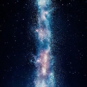 Meet your Posher, Gracie